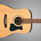Akustik Gitar